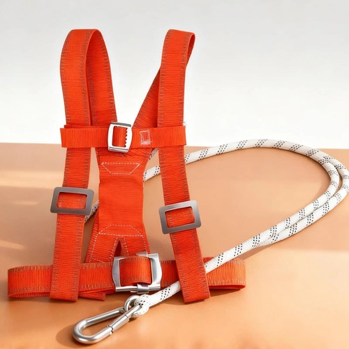 Full body safety - body, harness